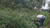 全网最美粉丝中奖，二哥被美女一番心意感动，愿爷爷永远健康快乐