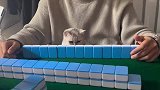 猫：胡牌就在一瞬间