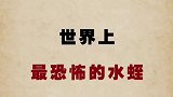 喜欢游泳的可要注意了！