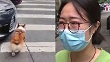 女子和男友说好不生孩子要把狗狗当儿子 几年后的事让她崩溃