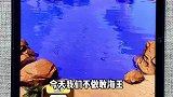寻找赶海王这就是传说中的不服就抽水吗