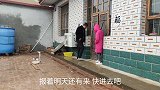 农村离婚姑娘相亲成功后，小伙让姑娘婚后在家带孩子，姑娘啥态度