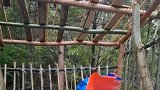 可怜之人必有可恨之处，下雨还有心思睡觉！盖不起房别想娶老婆