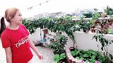 二胎宝妈向往李子柒的生活，13岁女孩帮助妈妈一起打造田园梦
