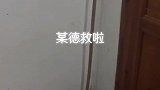 老鼠猫大哥，你今天就放过我把！