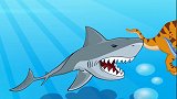 第87集 小心鲨鱼
