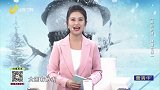 关于养肾的建议