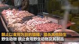 北京全面禁止食用野生动物 6月起施行
