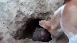 狗子：快出来，你已经被我们包围了！