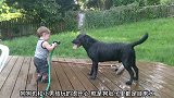狗狗喝这么多水会不会拉稀，宝贝还在继续喂它喝水