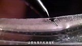发明纹身的人真是位天才，它究竟有什么危害？