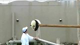 这只大熊猫火了, 它为了掩饰摔倒的尴尬, 强行给自己加戏