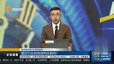 指数强势，大幅度波动的板块原因为何？