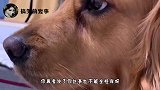 这是我爷送给我爸的，据说可以在北上广换一套房