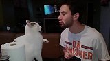 猫拒绝被主人亲吻，并不是嫌弃主人，而是爱主人