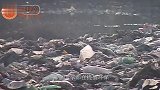 牛人发明“塑料袋”竟可食用15S就可以溶解完