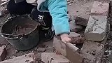 这可是小瓦工啊，能成大事