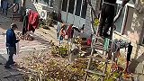 灵活的胖子！男子爬梯险掉落无奈挂树自保，老父亲全程淡定旁观
