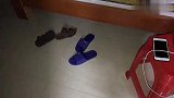 老刘两个多月回来一次，小兰主动分居我睡客厅沙发上，有原因的