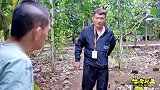 海南搞笑：小伙子为人正直，岳父大人他也照样罚！