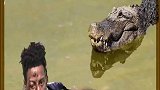 鳄鱼猎人的工作你敢做吗