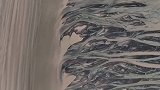 钱塘江入海口航拍木星般的泥沙纹理