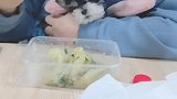 是不是太残忍了