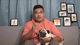 巴哥绝育会变胖吗，狗狗绝育会变肥吗