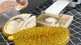 榴莲饺子，这样好吃吗应该没人这么土豪吧！