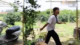 短剧；老婆要和闺蜜去逛街，老公极力阻止，嫁到这种老公谁都怕