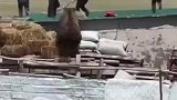 意外来的太快了