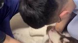当狗狗打了麻药，这咋还自带关机音效？