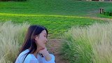 如果你累了，那就来丽江吧，来看夏天的丽江，喝喝老板娘泡的茶，