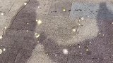 甜甜的恋爱 这个支棱着的小爪爪深的我心～～