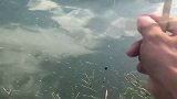 农村小伙买不起鱼竿，直接用竹竿钓鱼，大货照样能上钩！