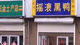 网友：店老板是真的善良…不过流浪狗终归还是有点危险 青岛 流浪狗 善良