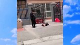 女儿躺在地上耍无赖，爸爸在一旁玩手机有耐心，真是太搞笑了