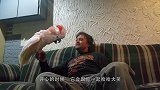 主人假装对鹦鹉开枪，鹦鹉应声倒地，镜头记录搞笑画面