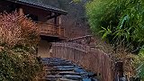 我想没人愿意吧？放弃城里的生活，回归田园生活，忙时修篱种花，闲时三五好友！
