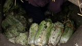 哈尔滨连环女屠夫大案  (三)  真实案件