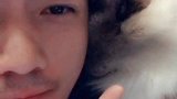 嘘，音乐小点声，别吵醒它了 猫与猫与猫与猫