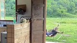 本以为是治愈系，结果变成治疗系