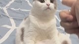 我赌你的枪里没有子弹，哈哈