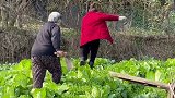 给外婆展示一下我回乡学的新技能田园生活 大年初一