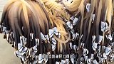 退潮之后，海滩上出现“幽灵树”，走近一看，众人不淡定了！