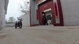 喂养救助的三只流浪狗，一个比一个能吃，吃完了它们还会自己擦嘴