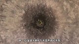 6位大神下凡历劫，金翅大鹏被雷劈死，紫薇大帝转世为王朝之主！
