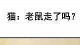猫小耗子走了吗？我害怕