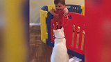 男孩与猫咪在玩啥，他们的快乐总是那么简单，真好！