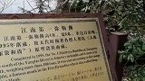 带着全家去旅行江南第一弥勒佛，头陀岭景区，南京钟山之顶。